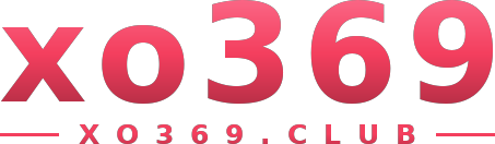 xo369 logo